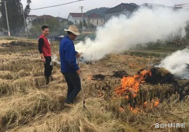 多省探索农村秸秆限时焚烧策略