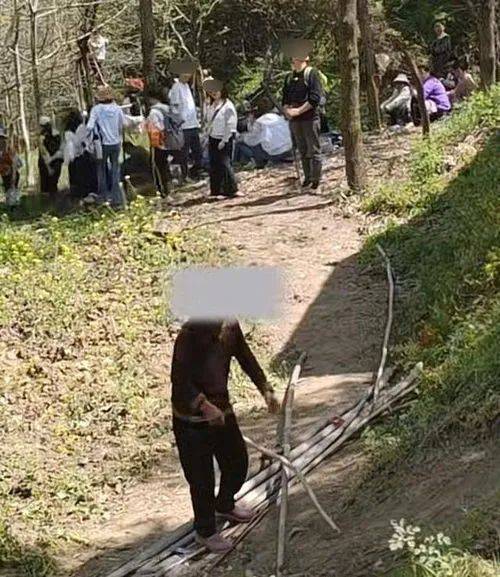 老人生气大喊的背后，游客为拍照踩踏田地引发争议