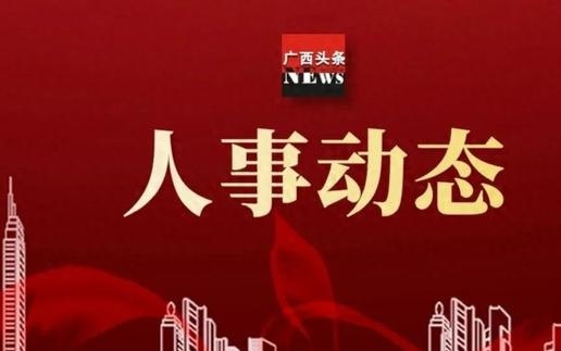 解读与观点阐述