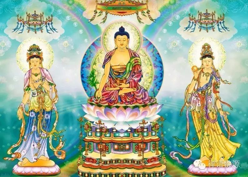 南无袈裟理科佛最新小说深度解析与观点阐述，最新力作深度探讨