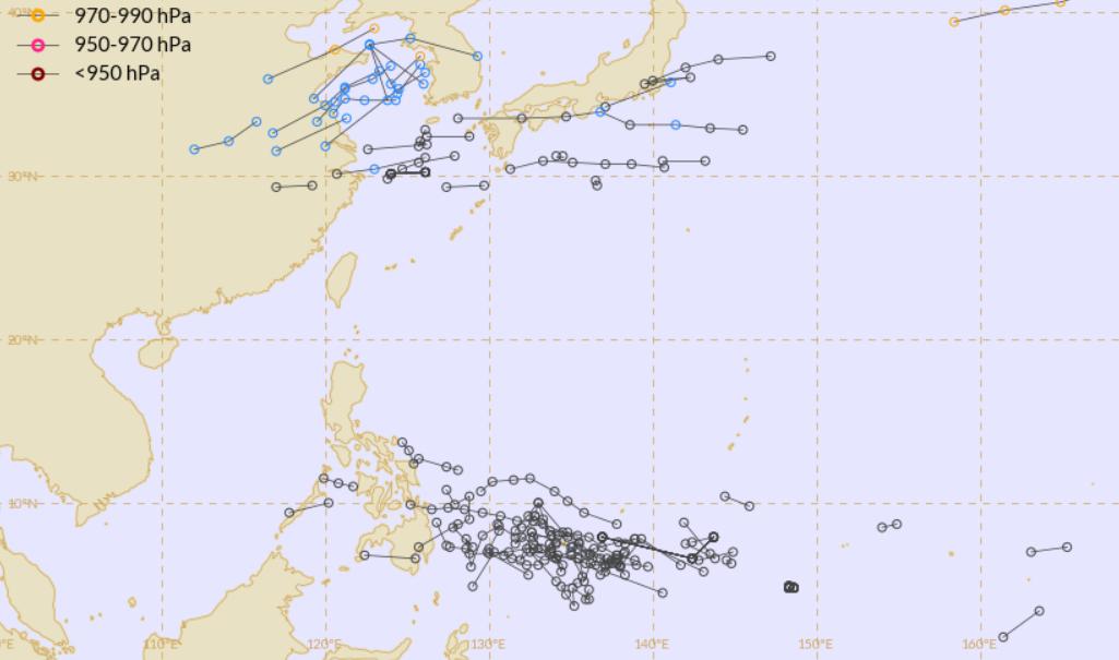 全方位解读最新台风动态，实时预报保障您的安全。