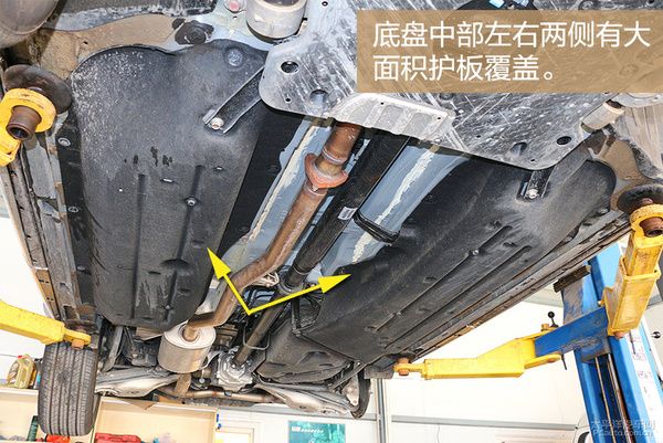 冠道最新动态深度解析与观点阐述
