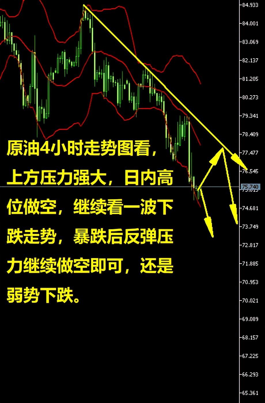 国际原油价最新动态与温馨日常体验