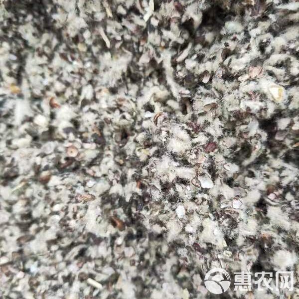 棉籽壳最新价格