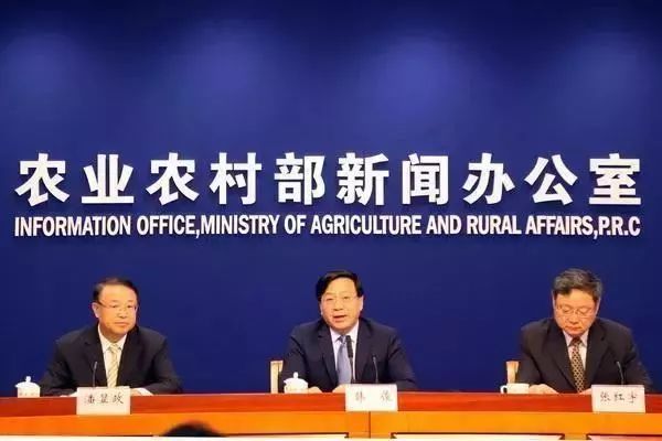 炳恒最新消息深度解析与观点论述