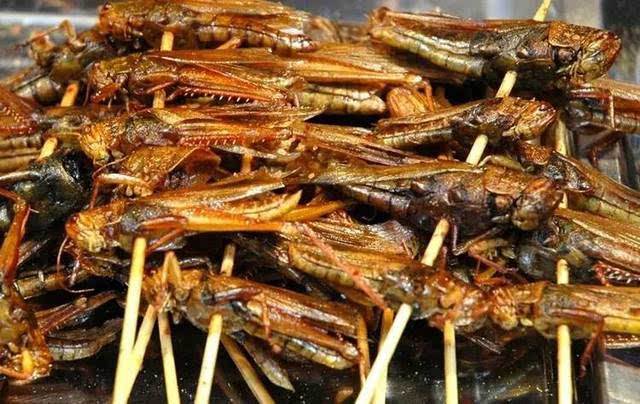最新蝗灾疫情及其背后的故事与小巷美食探秘