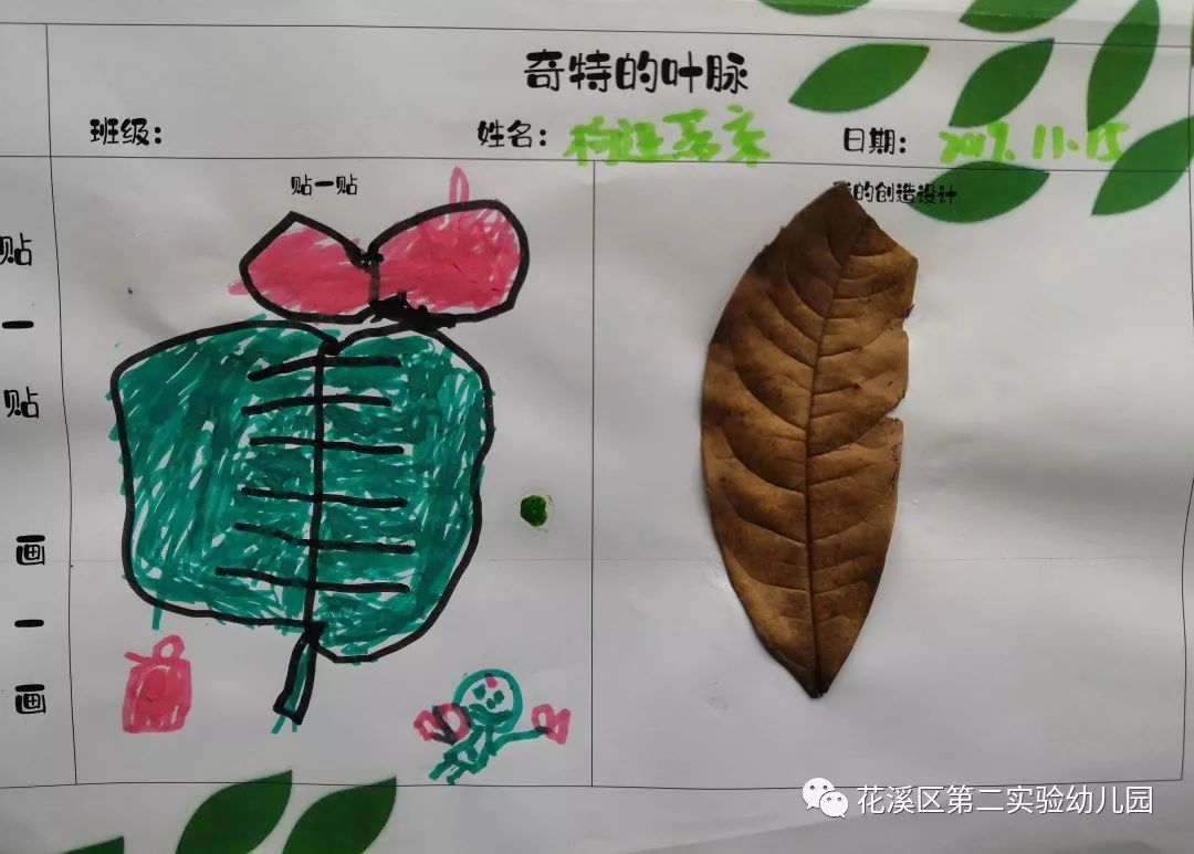 最新会员动态，探索自然美景之旅，寻找内心平和之地