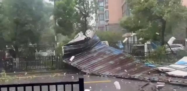 最新暴雨情况深度解析与观点阐述
