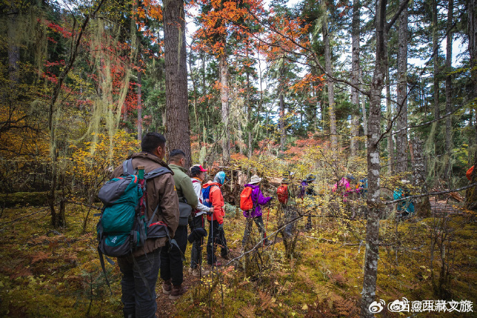 自然美景探险之旅，探寻最新理论钱之旅
