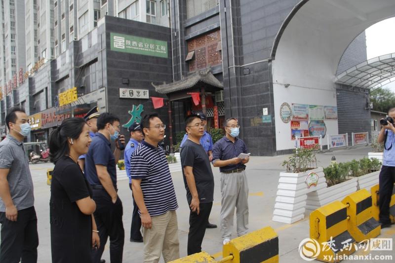 最新疫情下的自然之旅，寻找内心的平和与宁静