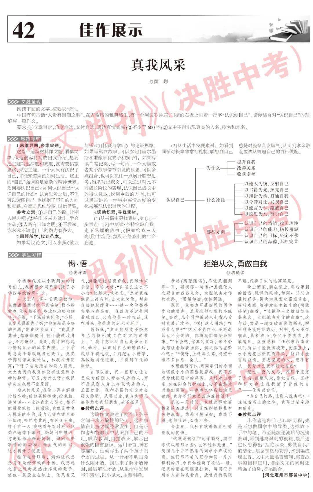 中考作文热点解析，小红书热议话题与最新热点作文解析（2023年）